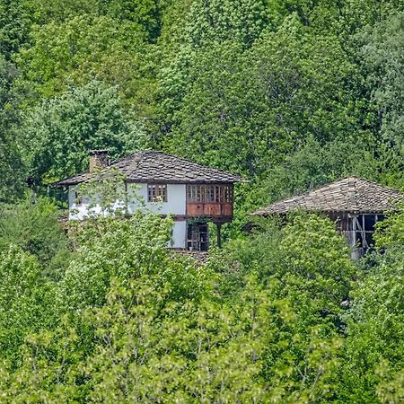 Authentic Bulgarian House - Karashka Villa Apriltsi  Exterior photo