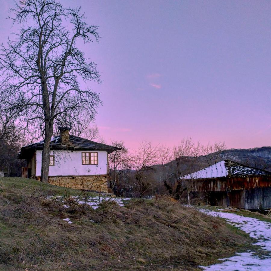 Authentic Bulgarian House - Karashka Villa Apriltsi  Exterior photo