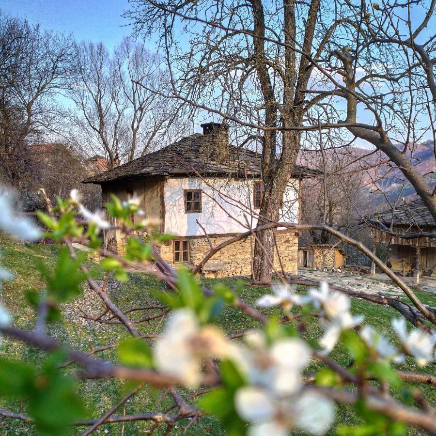 Authentic Bulgarian House - Karashka Villa Apriltsi  Exterior photo