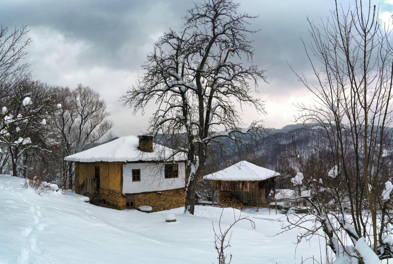 Authentic Bulgarian House - Karashka Villa Apriltsi  Exterior photo