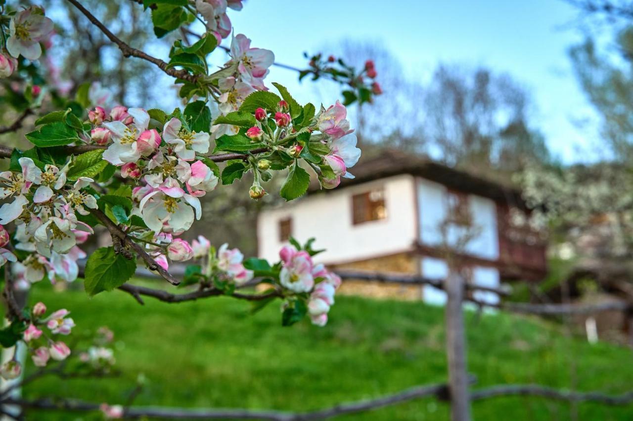 Authentic Bulgarian House - Karashka Villa Apriltsi  Exterior photo