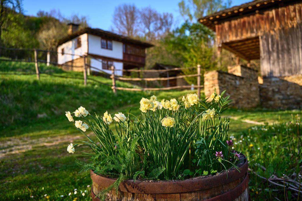 Authentic Bulgarian House - Karashka Villa Apriltsi  Exterior photo