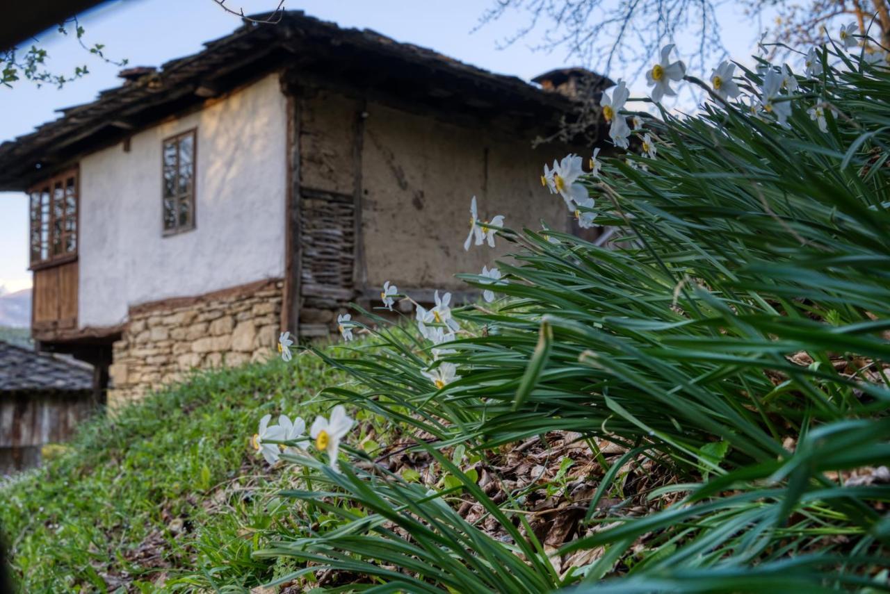 Authentic Bulgarian House - Karashka Villa Apriltsi  Exterior photo