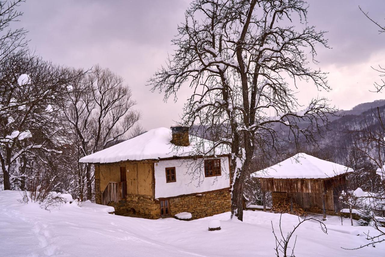 Authentic Bulgarian House - Karashka Villa Apriltsi  Exterior photo