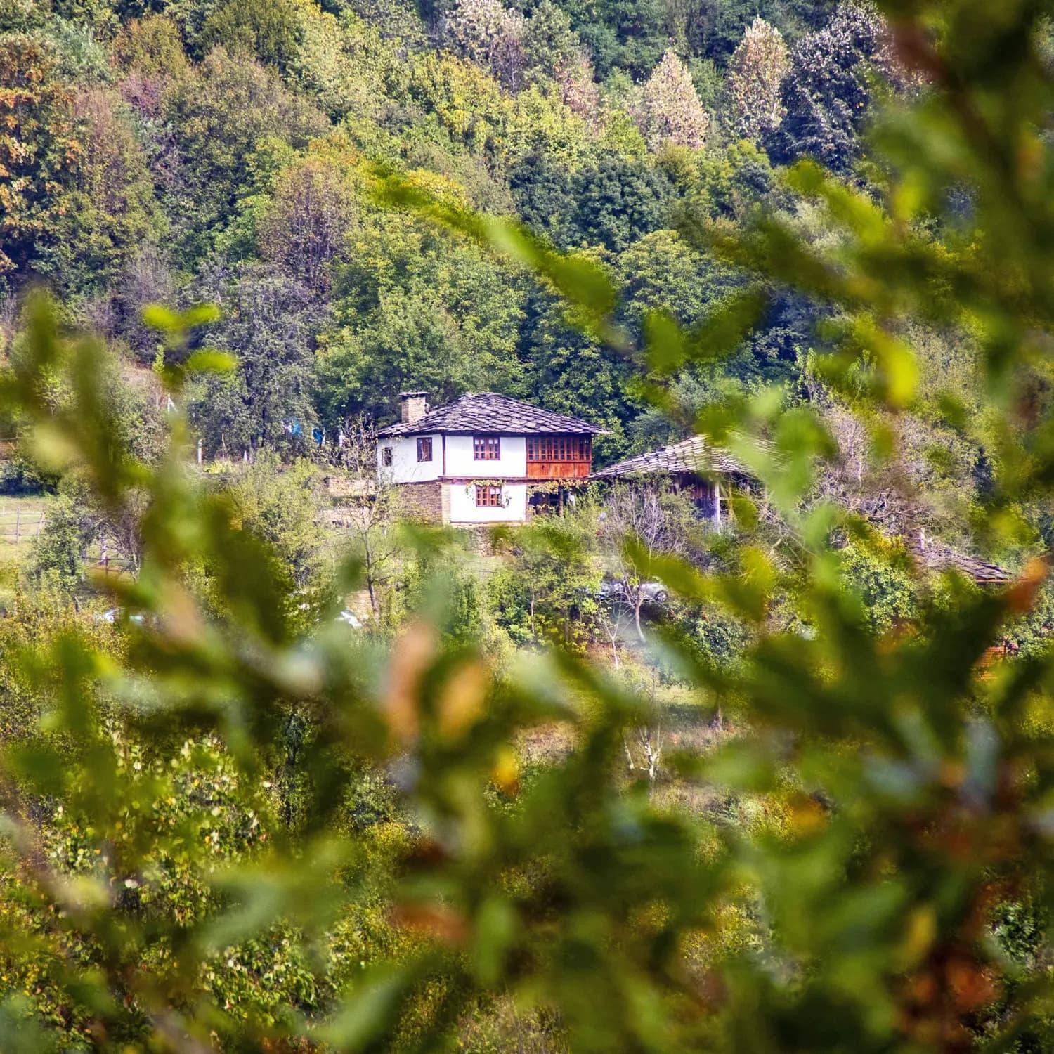 Authentic Bulgarian House - Karashka Villa Apriltsi  Exterior photo